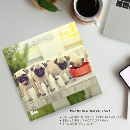 '26 Wall Calendar - Dogs