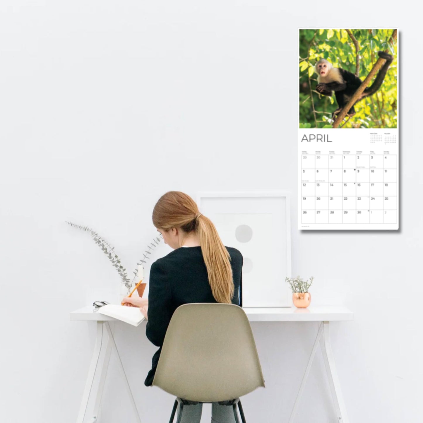 '26 Wall Calendar - Baby Animals