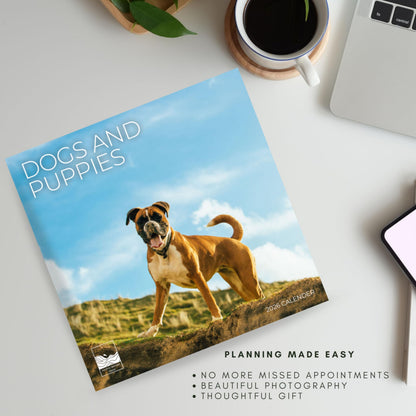 '26 Wall Calendar - Baby Animals