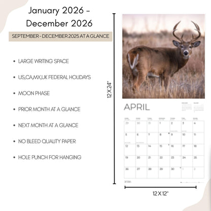 '26 Wall Calendar - Baby Animals