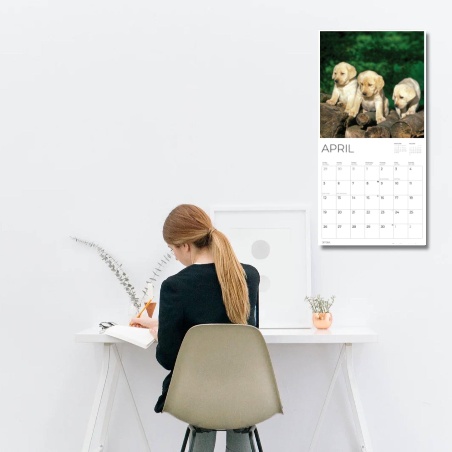 '26 Wall Calendar - Dogs