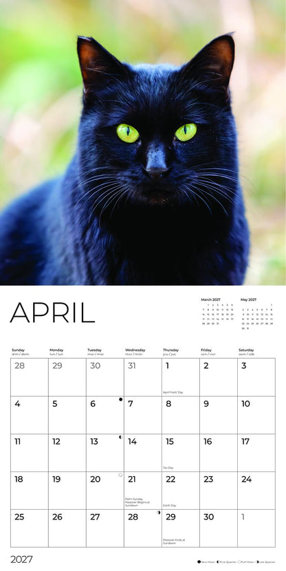'27 Wall Calendar - Black Cats