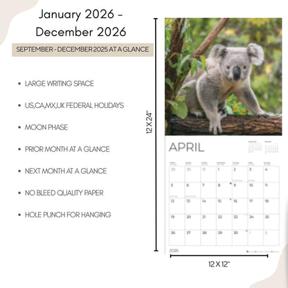 '26 Wall Calendar - Baby Animals
