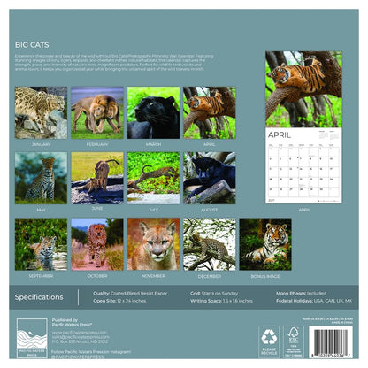 '27 Wall Calendar - Big Cats