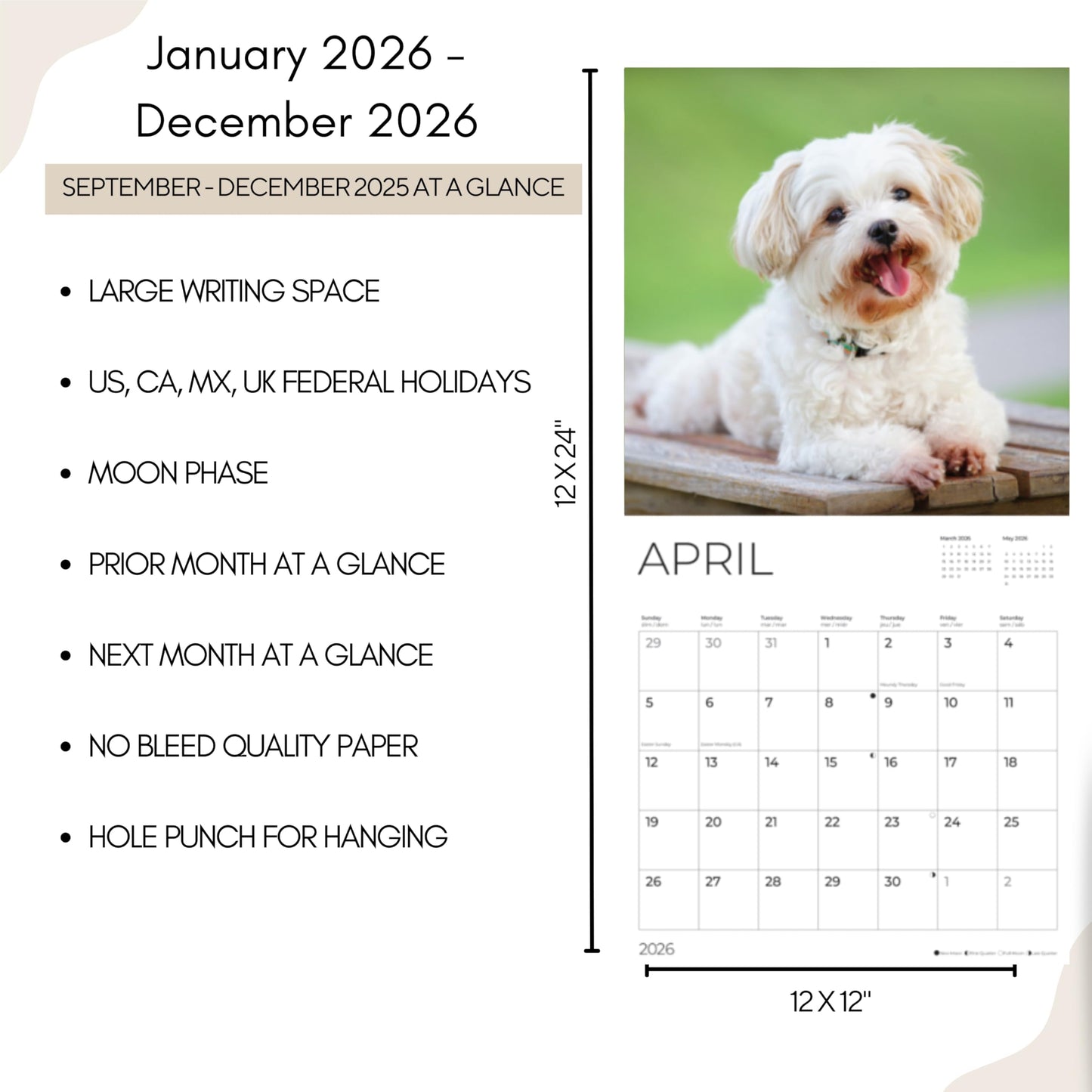 '26 Wall Calendar - Dogs