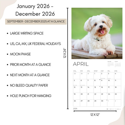 '26 Wall Calendar - Dogs