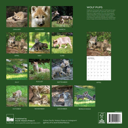 '26 Wall Calendar - Baby Animals