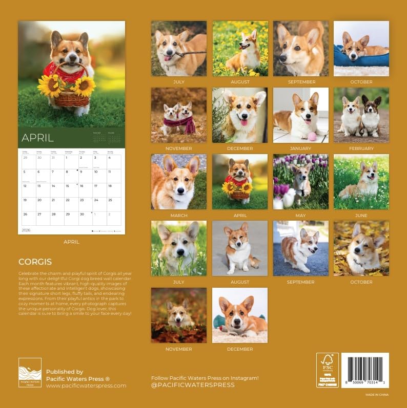 '26 Wall Calendar - Dogs - 18mo