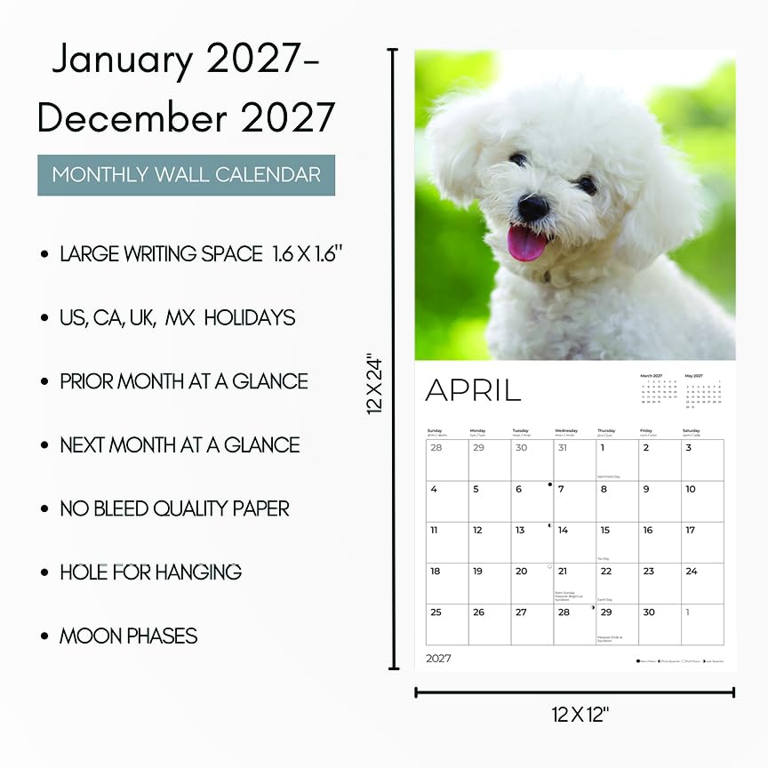 '27 Wall Calendar - Bichon Frise