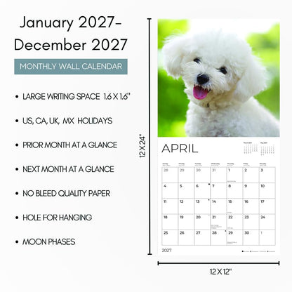 '27 Wall Calendar - Bichon Frise