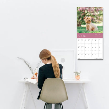 '26 Wall Calendar - Dogs - 18mo