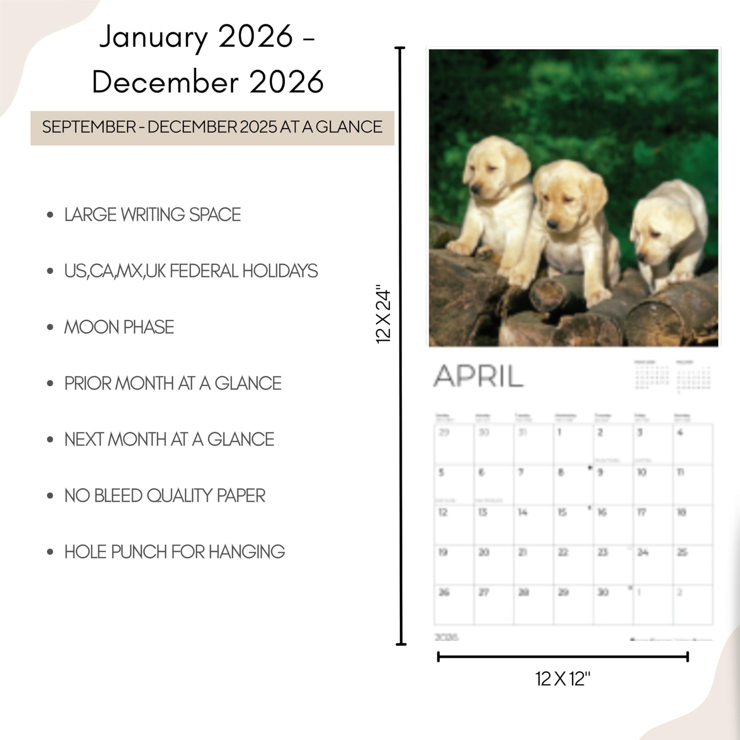 '26 Wall Calendar - Dogs