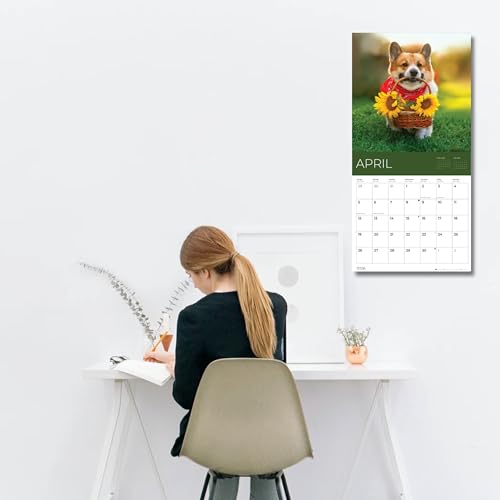 '26 Wall Calendar - Dogs - 18mo