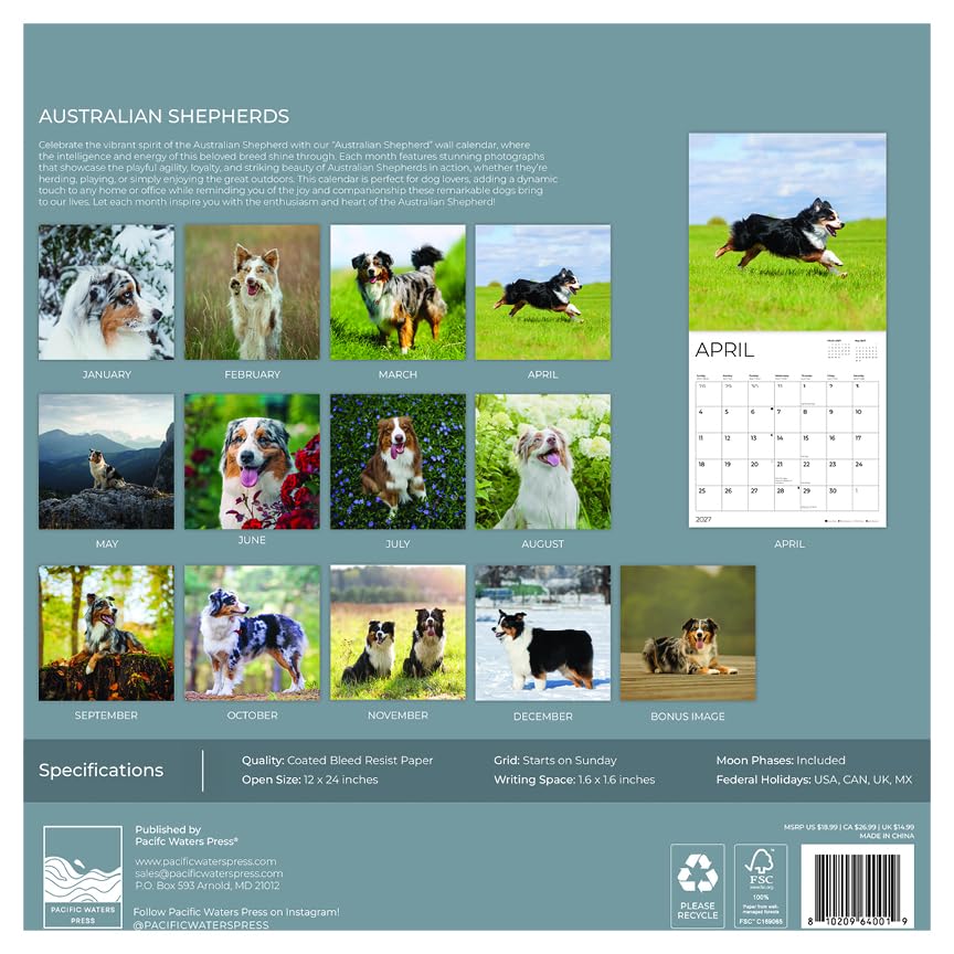 '27 Wall Calendar - Australian Shepherds