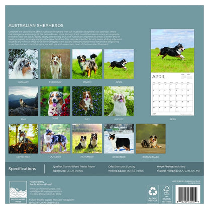 '27 Wall Calendar - Australian Shepherds