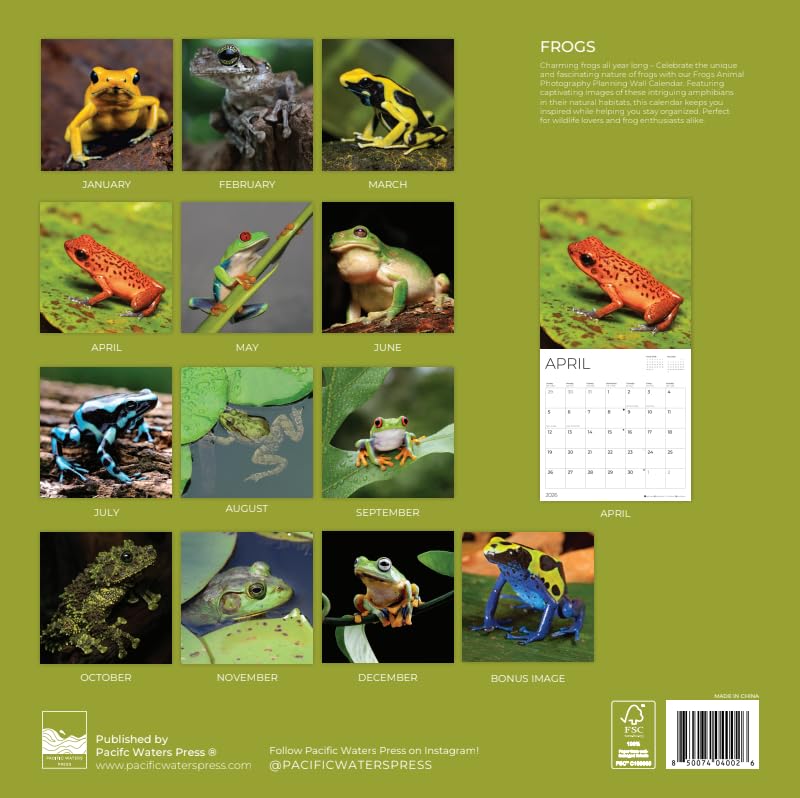 '26 Wall Calendar - Nature