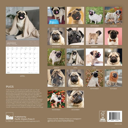 '26 Wall Calendar - Dogs - 18mo