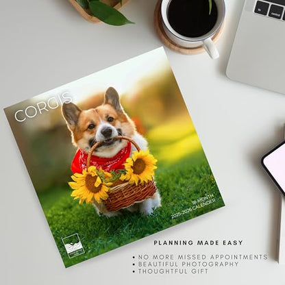 '26 Wall Calendar - Dogs - 18mo