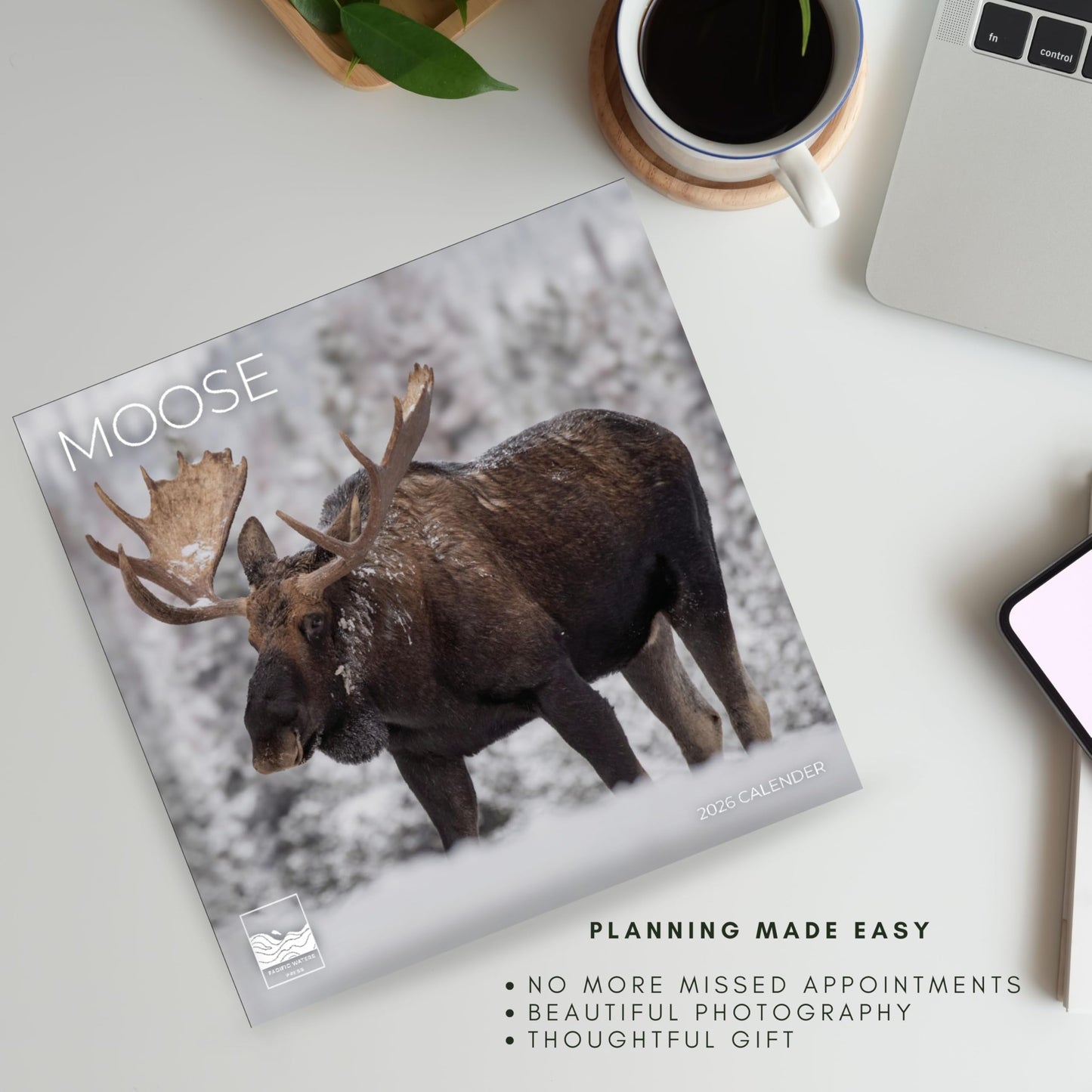 '26 Wall Calendar - Baby Animals