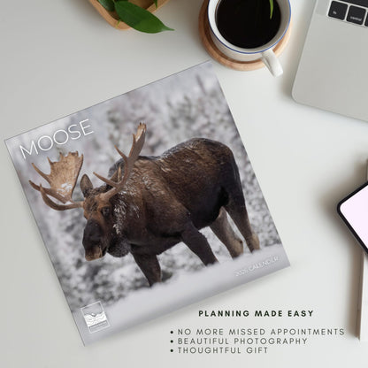 '26 Wall Calendar - Baby Animals
