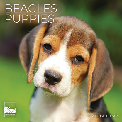 '26 Wall Calendar - Dogs