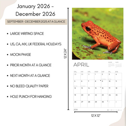 '26 Wall Calendar - Nature