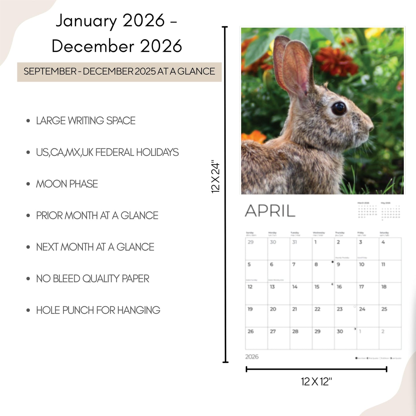 '26 Wall Calendar - Baby Animals