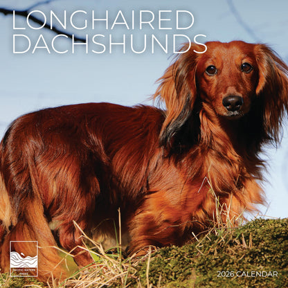 '26 Wall Calendar - Dogs