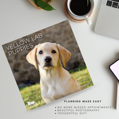 '26 Wall Calendar - Dogs