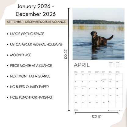 '26 Wall Calendar - Dogs