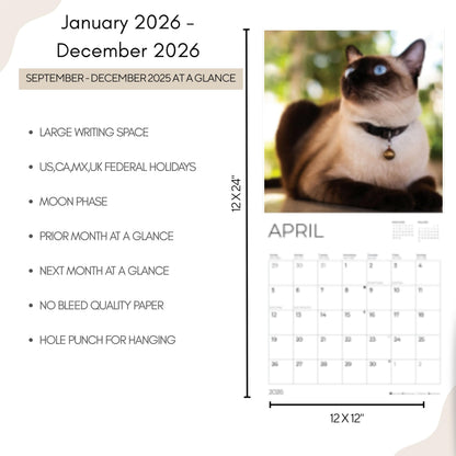 '26 Wall Calendar - Cats & Kittens