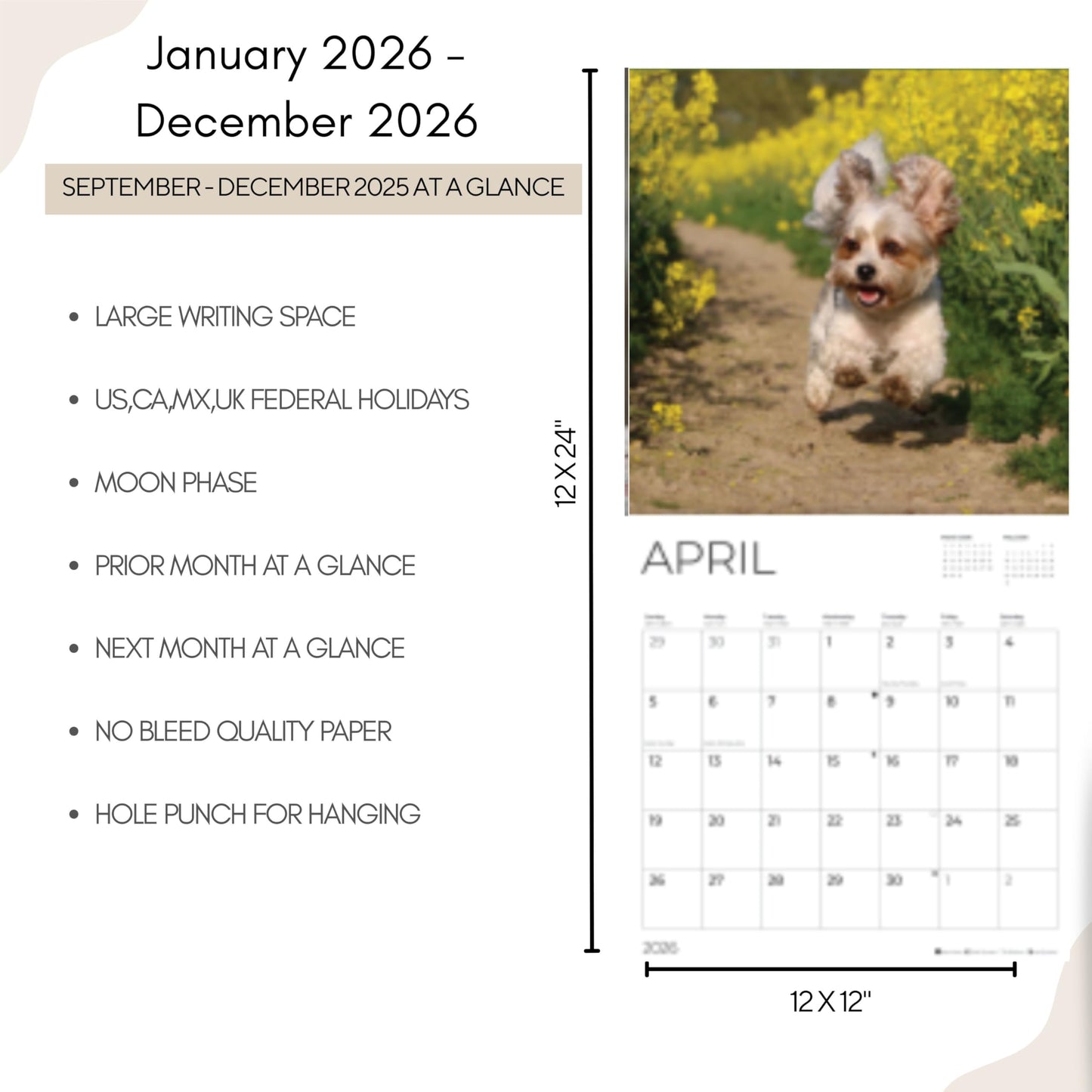 '26 Wall Calendar - Baby Animals