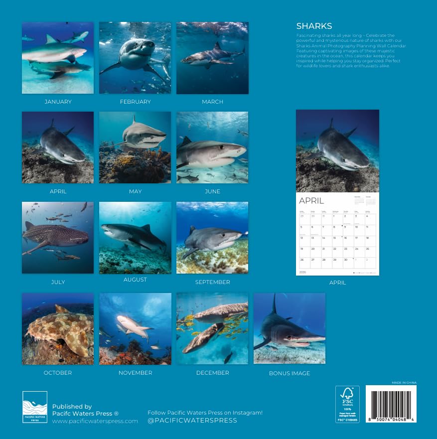 '26 Wall Calendar - Nature