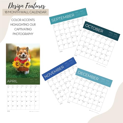 '26 Wall Calendar - Dogs - 18mo