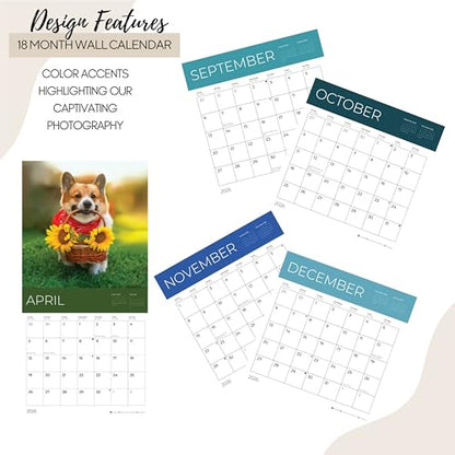 '26 Wall Calendar - Dogs - 18mo