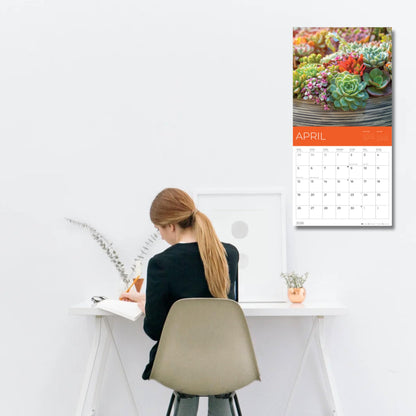 '26 Wall Calendar - Pathways - 18mo