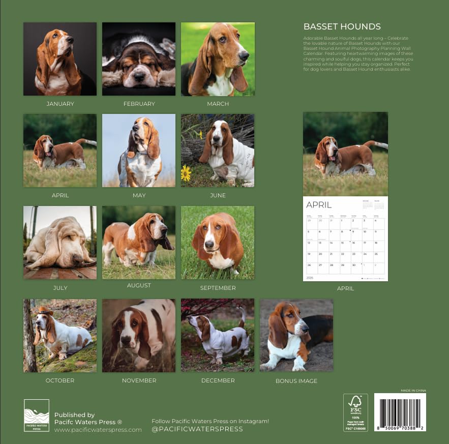'26 Wall Calendar - Dogs