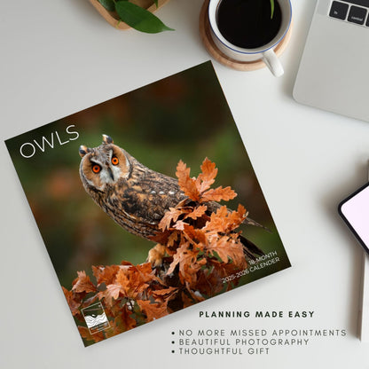 '26 Wall Calendar - Cows, Owls, & Woodland Creatures