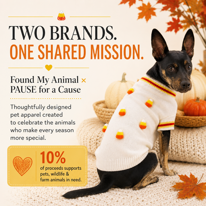 PFC X Found My Animal - Candy Corn Dog Sweater