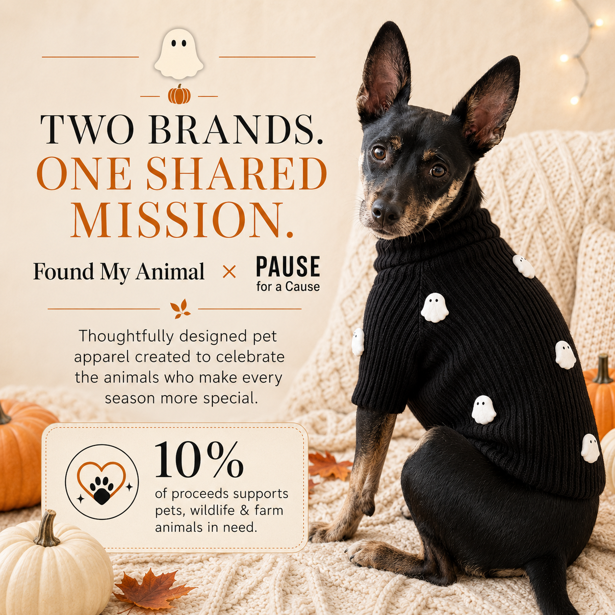 PFC X Found My Animal - BOO! Ghosts Dog Sweater