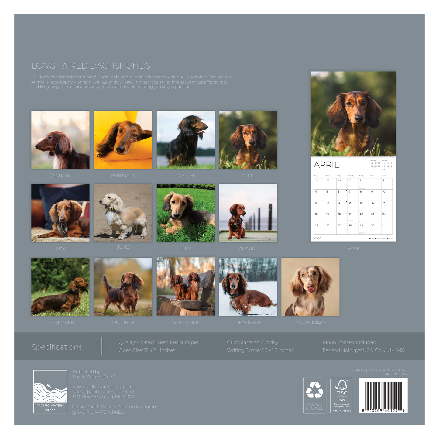 '27 Wall Calendar - Longhaired Dachshunds