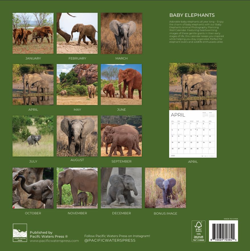 '26 Wall Calendar - Baby Animals