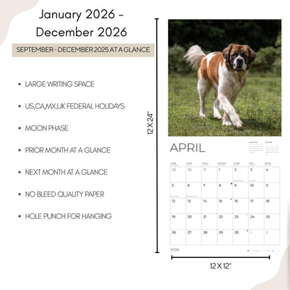 '26 Wall Calendar - Dogs