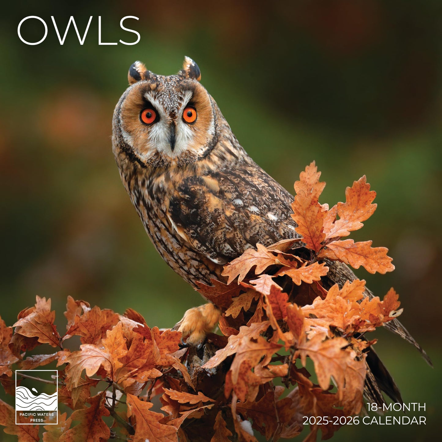 '26 Wall Calendar - Cows, Owls, & Woodland Creatures