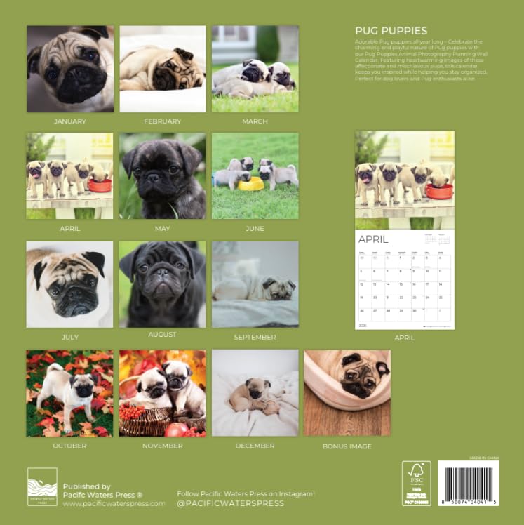 '26 Wall Calendar - Dogs