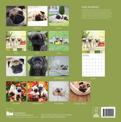 '26 Wall Calendar - Dogs