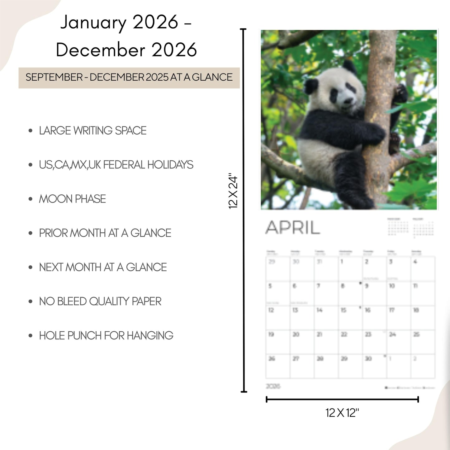 '26 Wall Calendar - Baby Animals