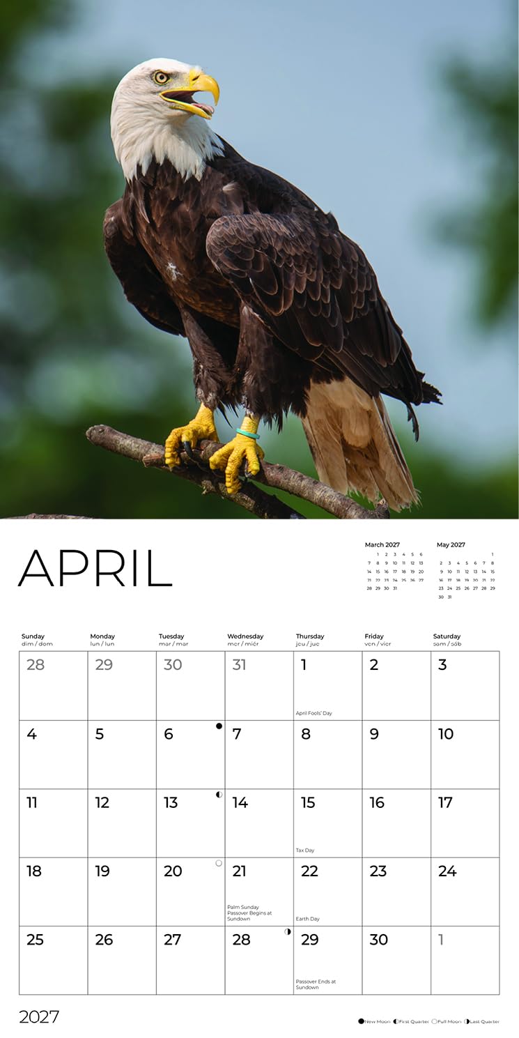 '27 Wall Calendar - Bald Eagles