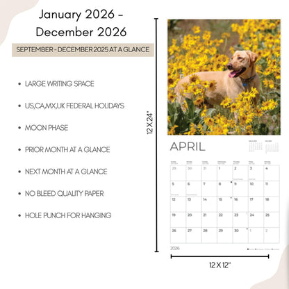 '26 Wall Calendar - Dogs