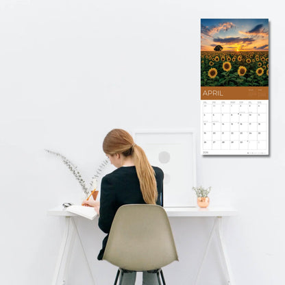 '26 Wall Calendar - Pathways - 18mo